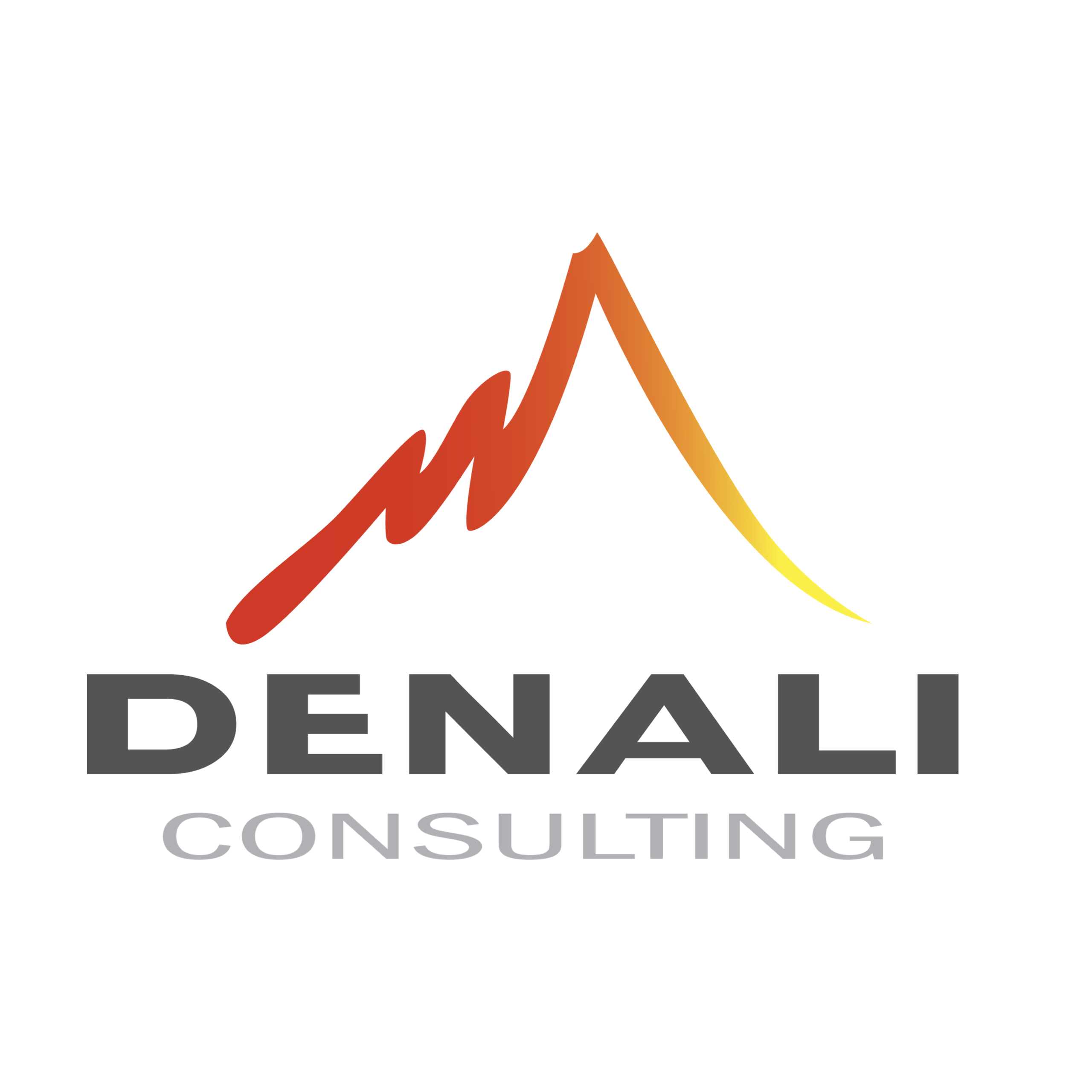 Denali Consulting
